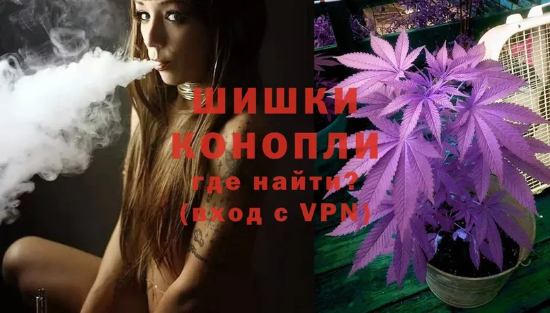 Каннабис White Widow  Бородино 